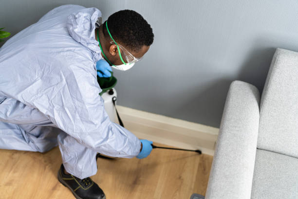 Real Estate Pest Inspections in Powers Lake, WI